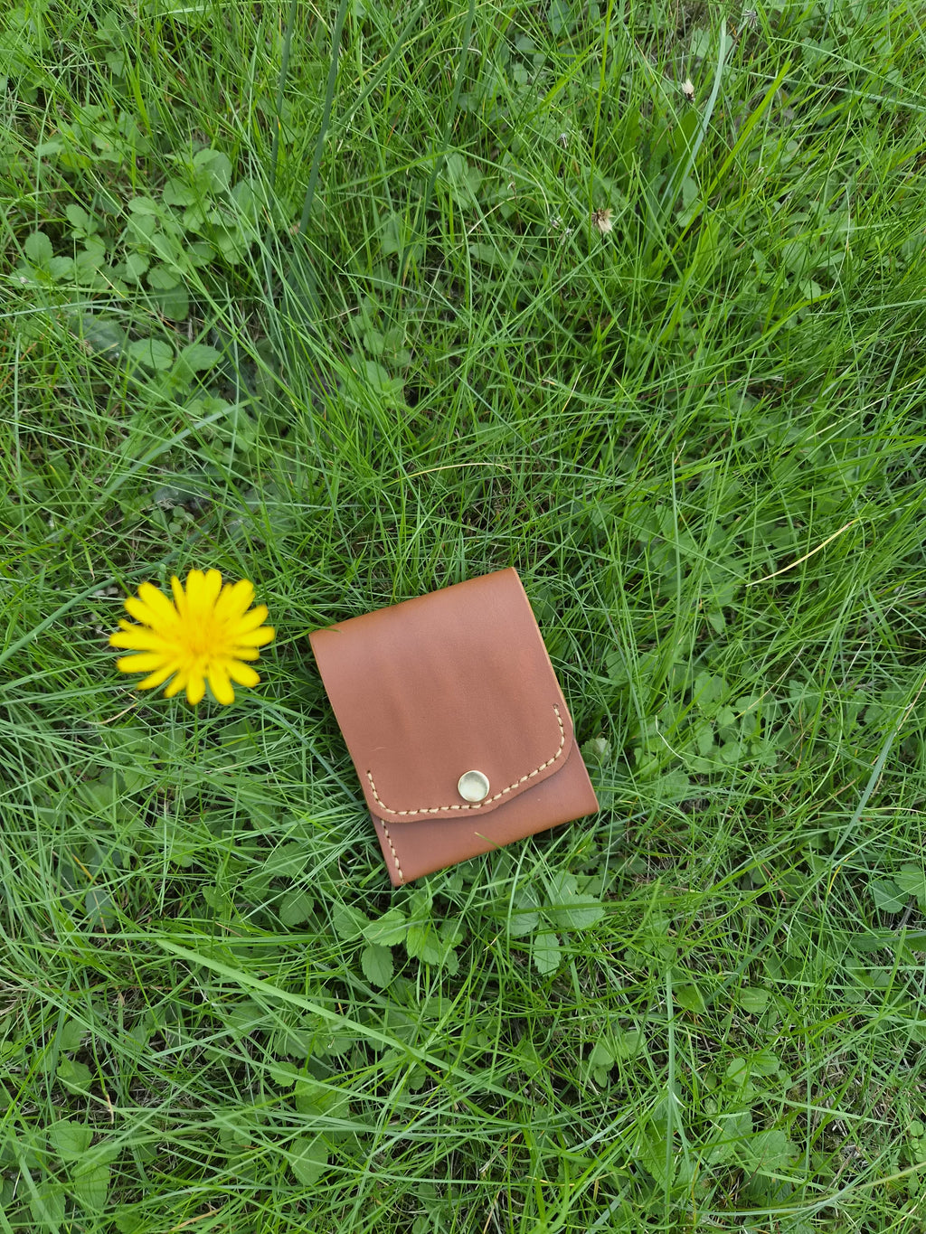 Rigel - Wallet
